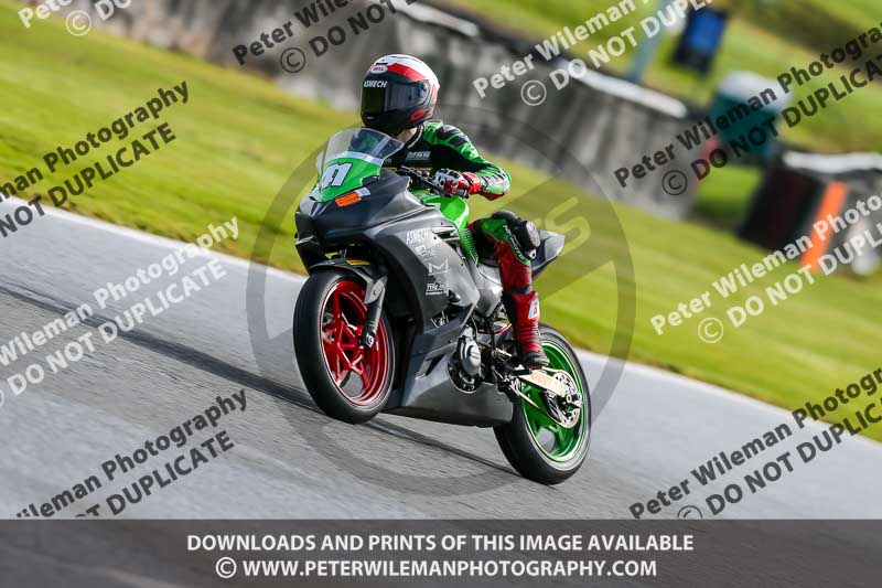 Oulton Park 14th March 2020;PJ Motorsport Photography 2020;anglesey;brands hatch;cadwell park;croft;donington park;enduro digital images;event digital images;eventdigitalimages;mallory;no limits;oulton park;peter wileman photography;racing digital images;silverstone;snetterton;trackday digital images;trackday photos;vmcc banbury run;welsh 2 day enduro